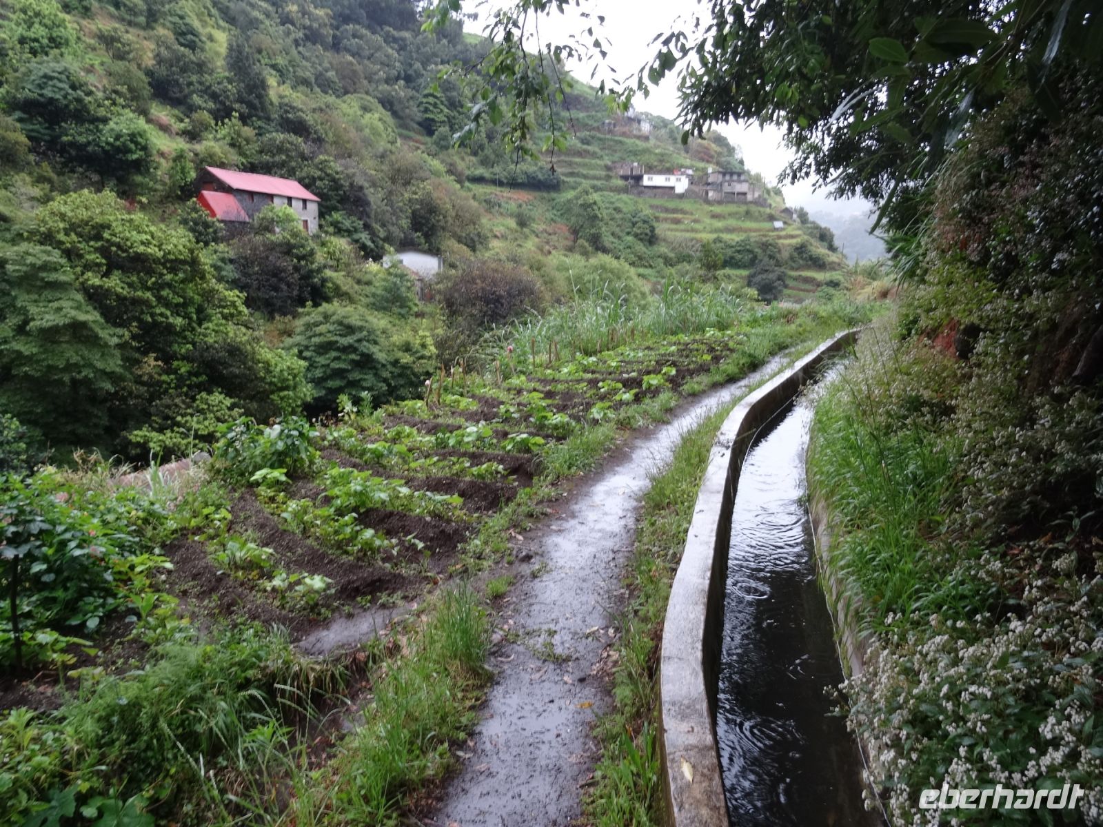 kleine Gemüsefelder entlang der Levada