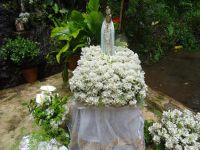 Levada do Marocos - Fatima Statue