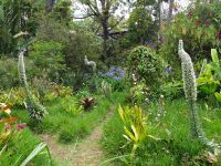 im Garten der Quinta da Boa Vista