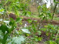 Unterwegs im Paradiestal