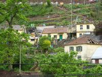 So leben die Insulaner