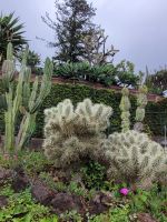 Madeira Botanical Garden