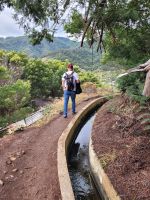 Levada in der Region von Camacha