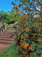 Palheiro Garten Funchal
