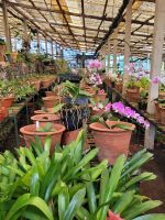 Kirche der Heiligen Mutter von Monte