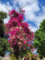Kirche der Heiligen Mutter von Monte