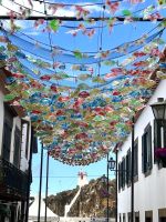 Fischerdorf Camara de Lobos