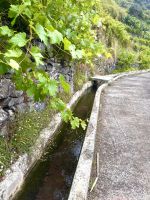 Levada-Wanderung