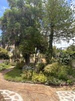 Esmeraldas Kräutergarten