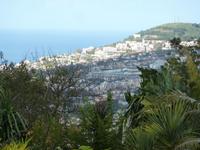 Traumhafter Blick auf Funchal