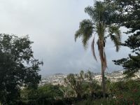 ...im botanische Garten Funchals (4)