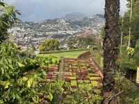 ...im botanische Garten Funchals (5)