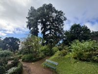 Funchal - Sao Goncalo (1)