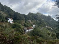 Levadawanderung bei Ribeiro Frio (1)