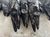 Markthalle in Funchal (6)