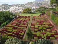 Funchal, Botanischer Garten 