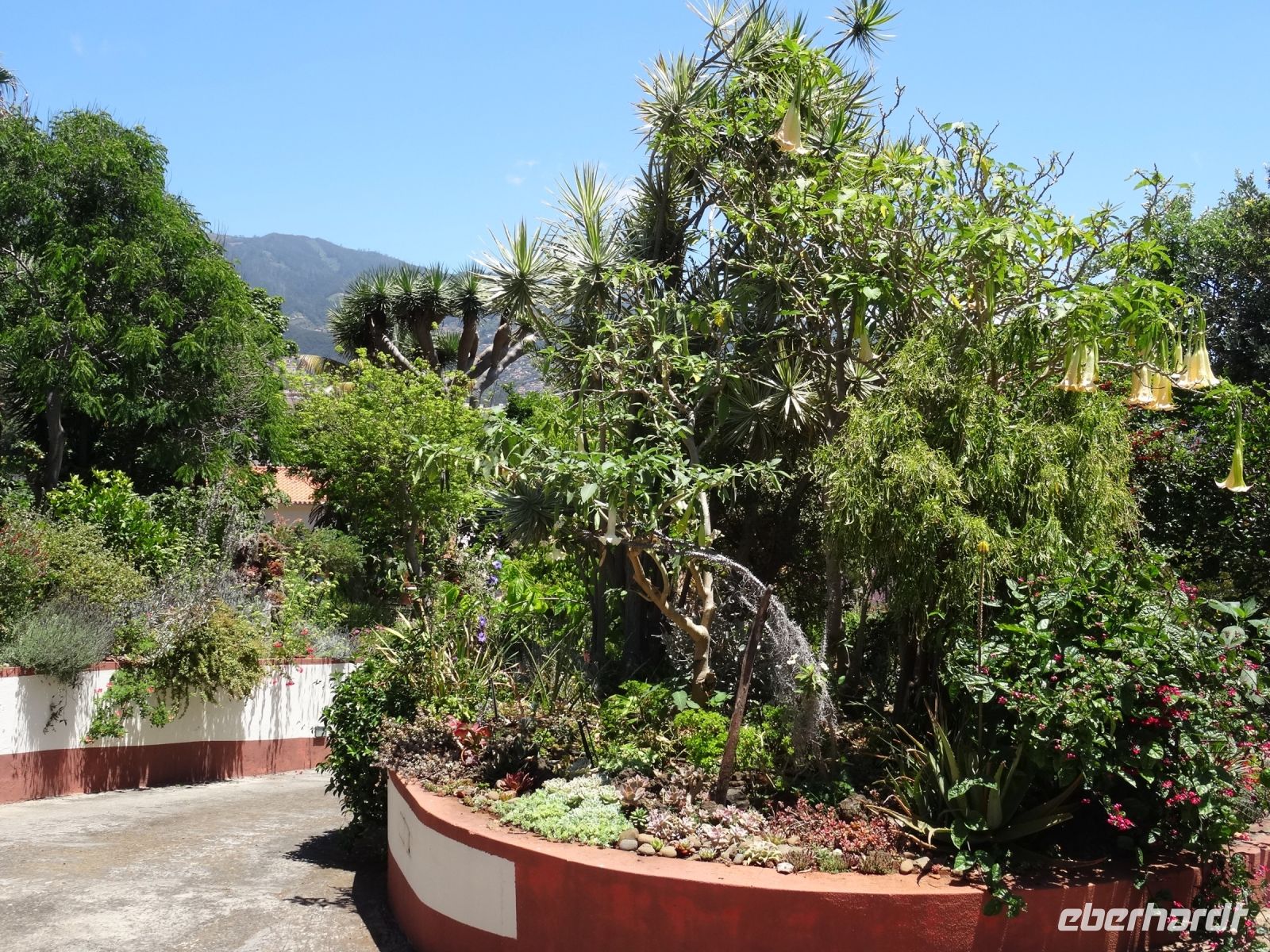 Esmeraldas Kräutergarten