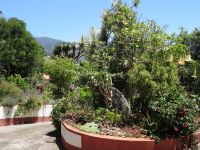 Esmeraldas Kräutergarten