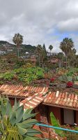 Madeira: Quinta Splendida: Botanischer Garten