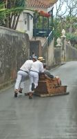 Madeira: Monte: Korbschlittenfahrt