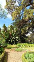 Madeira: Quinta do Palheiro: Blandys Garten: Rundgang