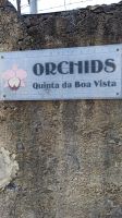 Madeira: Quinta da Boa Vista: Orchideengarten