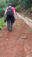 Madeira: Levada-Wanderung