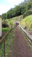 Madeira: Levada-Wanderung