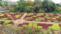 Funchal: Botanischer Garten