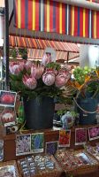 Funchal: Markthalle