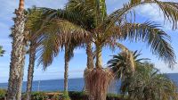 Madeira: Blick aus unserem Hotel The Views Oasis