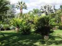 Funchal, Botanischer Garten