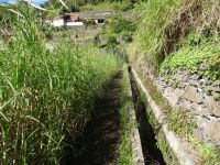 Levada Wanderung - Levada mit Zuckerrohr