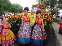 Funchal - Reiseleiter inmitten des Blumenfestes