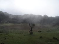 Fanal und seine Mystik