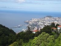 Funchal - Blandys Garten mit Blick auf den Hafen