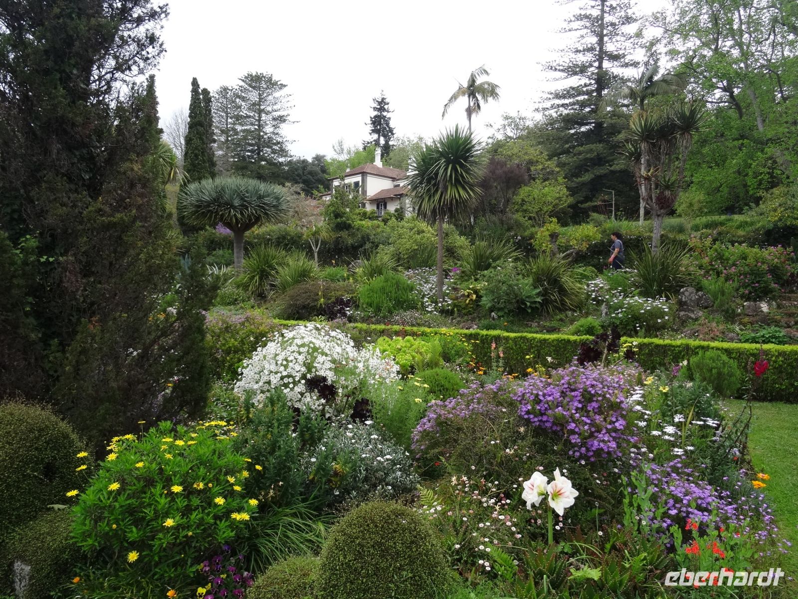 Blandys Garten - Blick auf das Herrenhaus