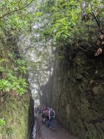 Levada Wanderung Ribeirio Frio