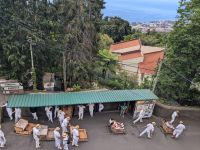 Korbschlittenfahrt in Monte