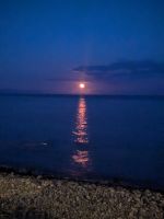 Aussicht aus der Mini Container Bar, Blutmond 