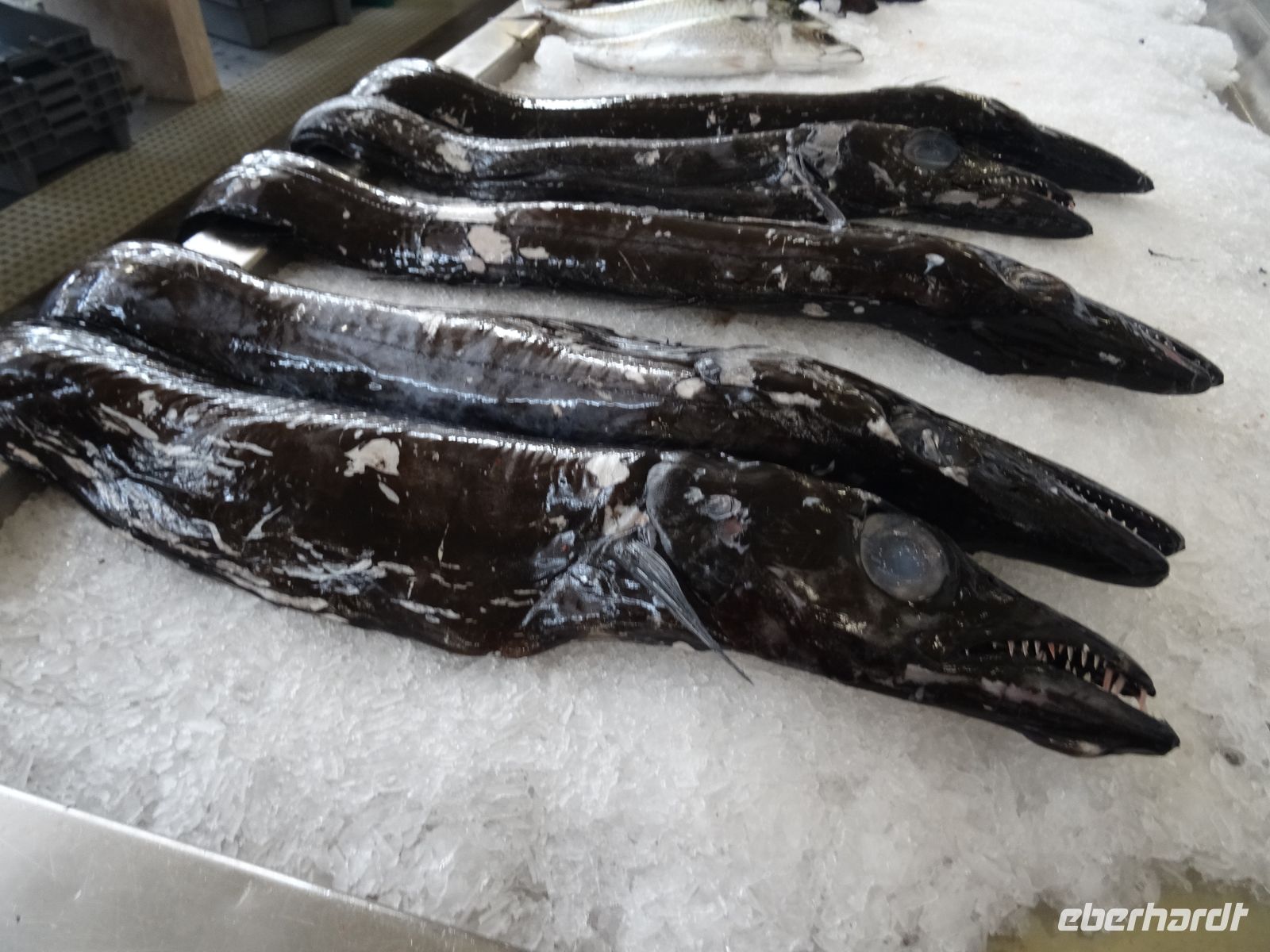 Funchal - Markthalle, Espada &ndash; &copy;  (Eberhardt TRAVEL)