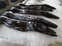 Funchal - Markthalle, Espada &ndash; &copy; Hans-Joachim Trutz (Eberhardt TRAVEL)