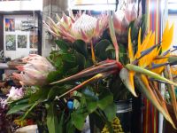 Funchal - Markthalle &ndash; &copy; Hans-Joachim Trutz (Eberhardt TRAVEL)