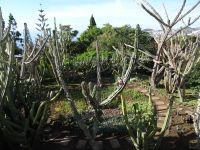 Funchal - Botanischer Garten &ndash; &copy; Hans-Joachim Trutz (Eberhardt TRAVEL)