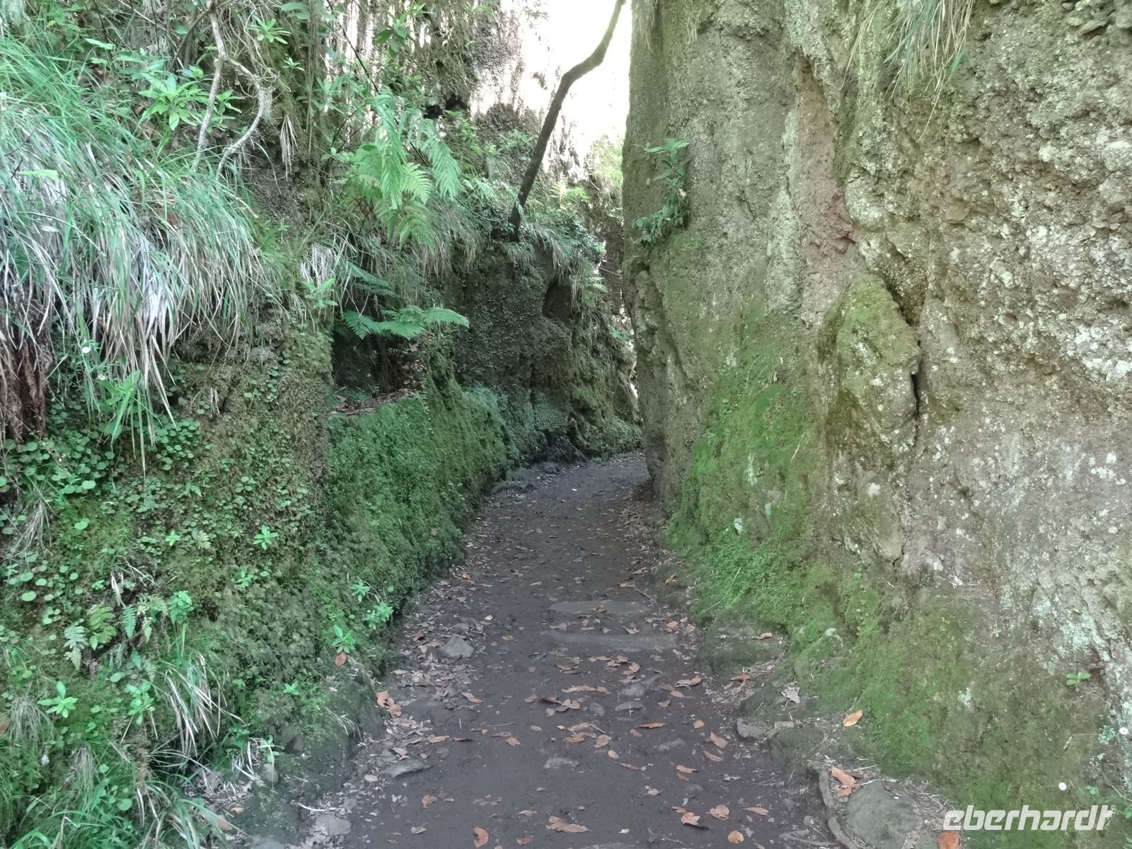 Levada Wanderung zum Aussichtspunkt 