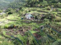 entlang der Levada von Marocos &ndash; &copy; Hans-Joachim Trutz (Eberhardt TRAVEL)