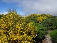 Hochebene  Paul da Serra &ndash; &copy; Hans-Joachim Trutz (Eberhardt TRAVEL)