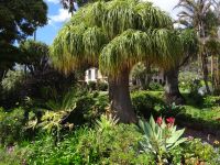 Quinta Splendida &ndash; &copy; Hans-Joachim Trutz (Eberhardt TRAVEL)