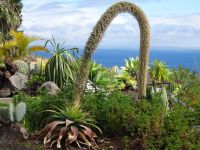 Quinta Splendida - Schwanenhals-Agave &ndash; &copy; Hans-Joachim Trutz (Eberhardt TRAVEL)