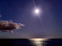 Aufstehen in Madeira, Blick aus dem Hotelzimmer auf den Atlantik &ndash; &copy; Simone Willner (Eberhardt TRAVEL)